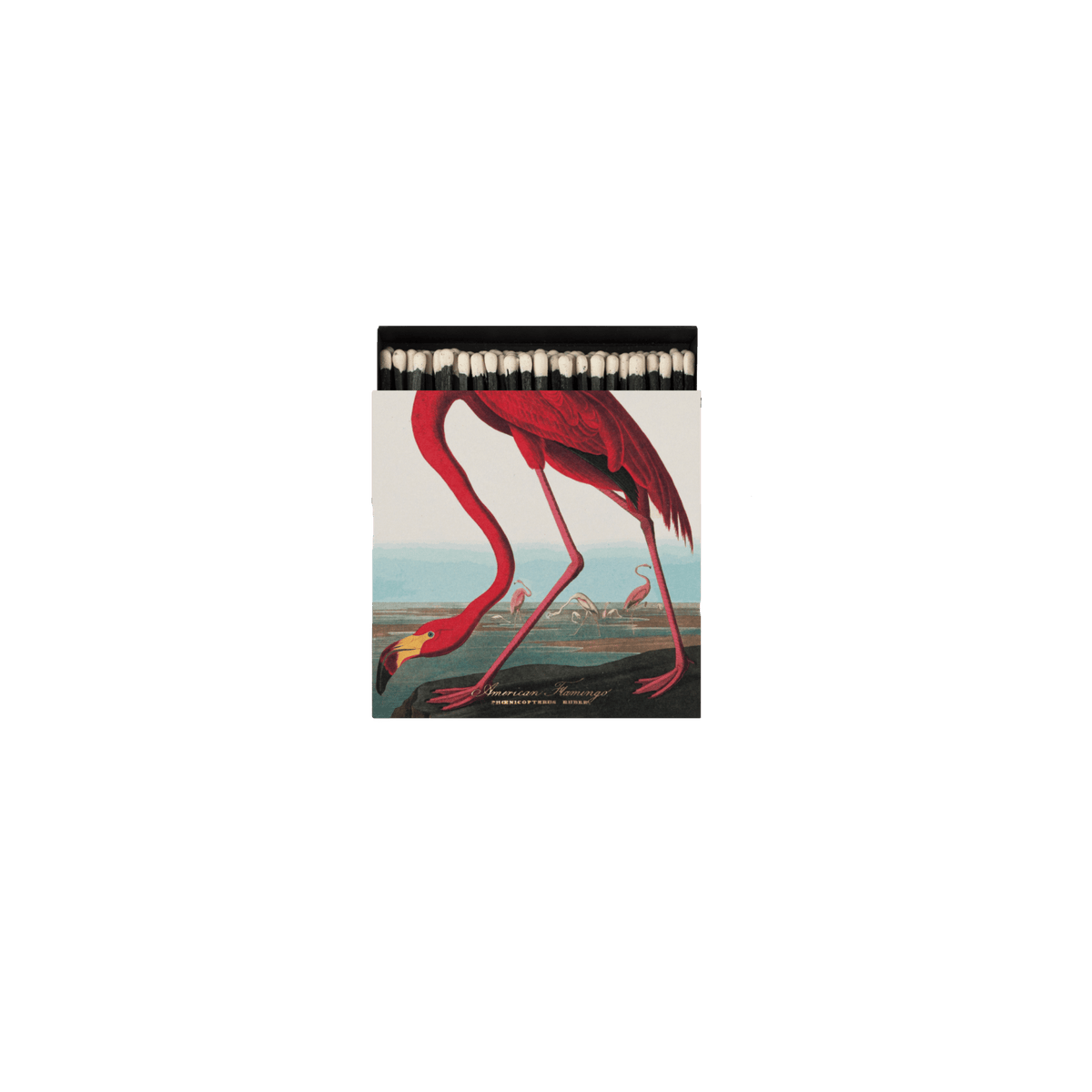 American Flamingo Matches