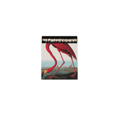 American Flamingo Matches