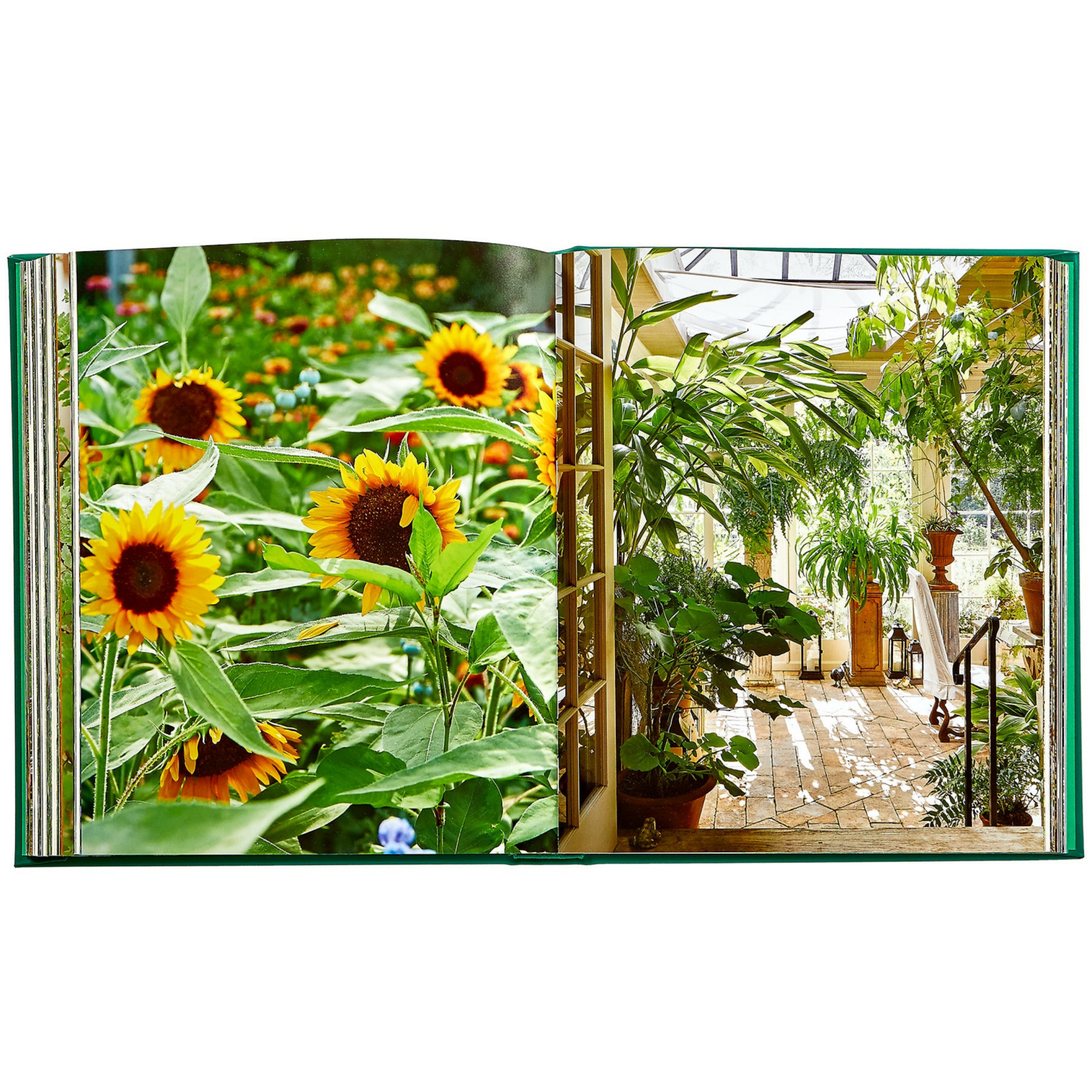 Bunny Williams: Life in the Garden